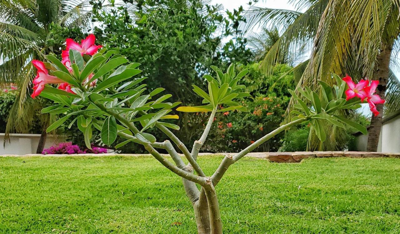 קנואה קבראדה Hotel & Pousada Tatajuba מראה חיצוני תמונה